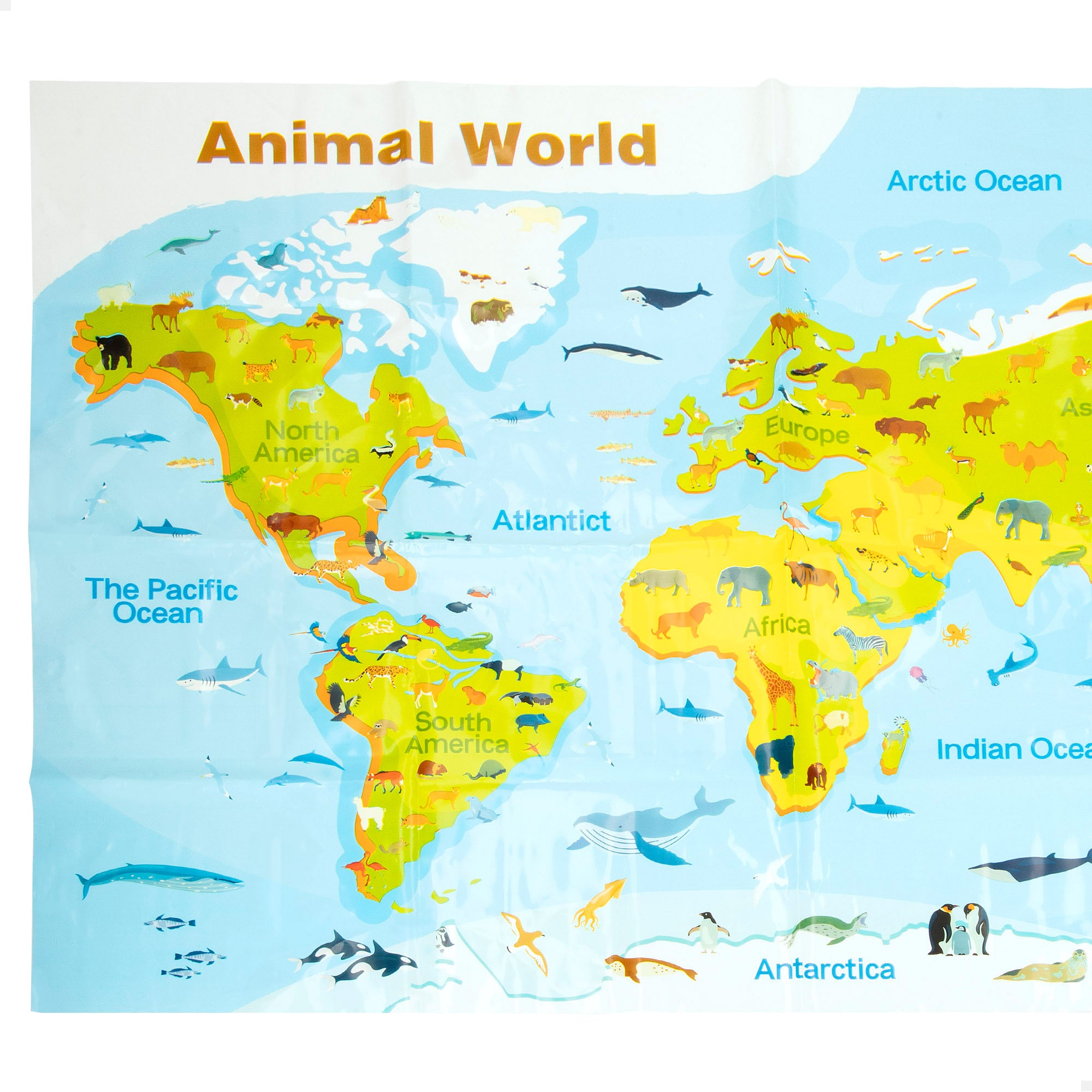 Set animales de granja con tapete y accesorios 30 pzas. Animal World