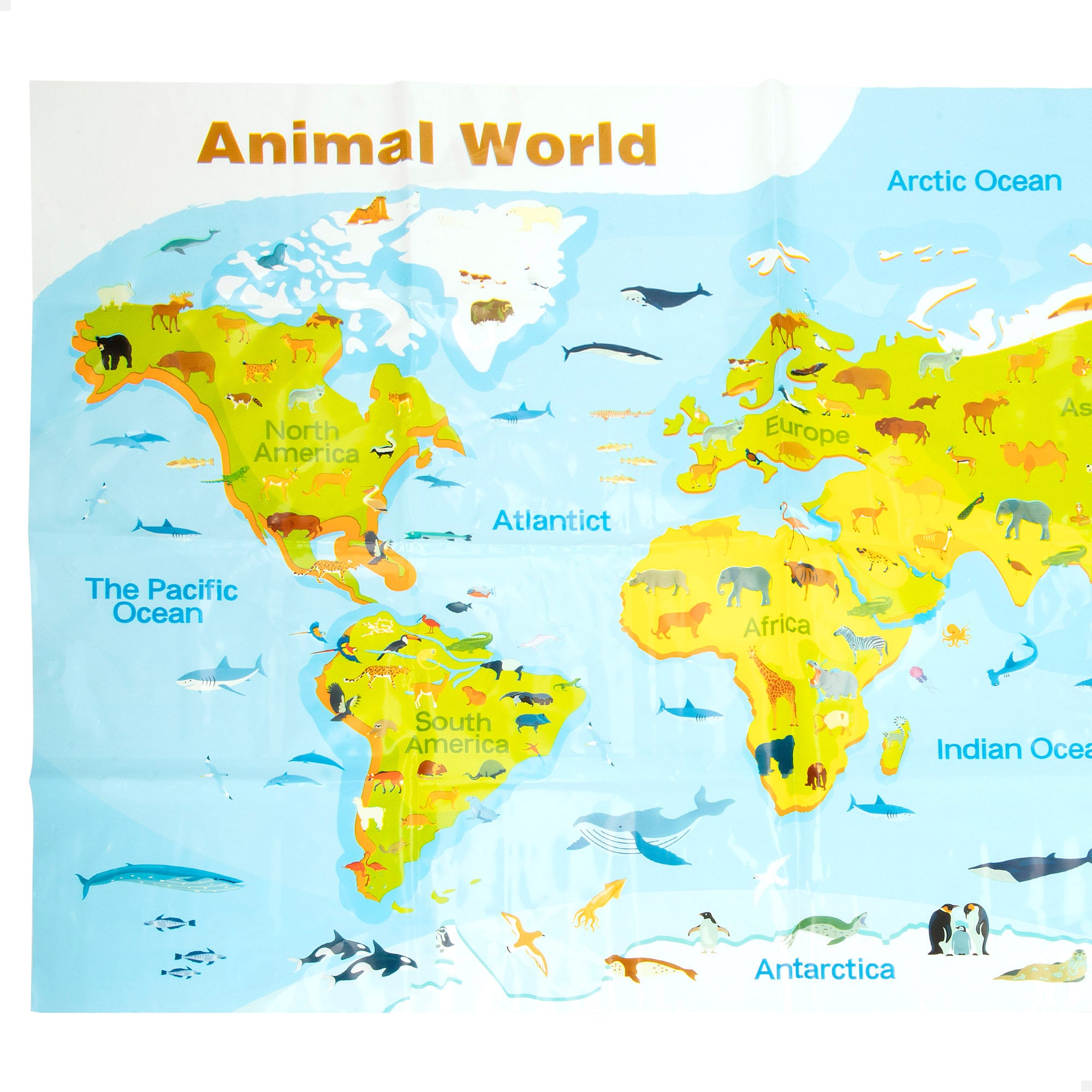 Set animales marinos con tapete y accesorios 30 pzas. Animal World