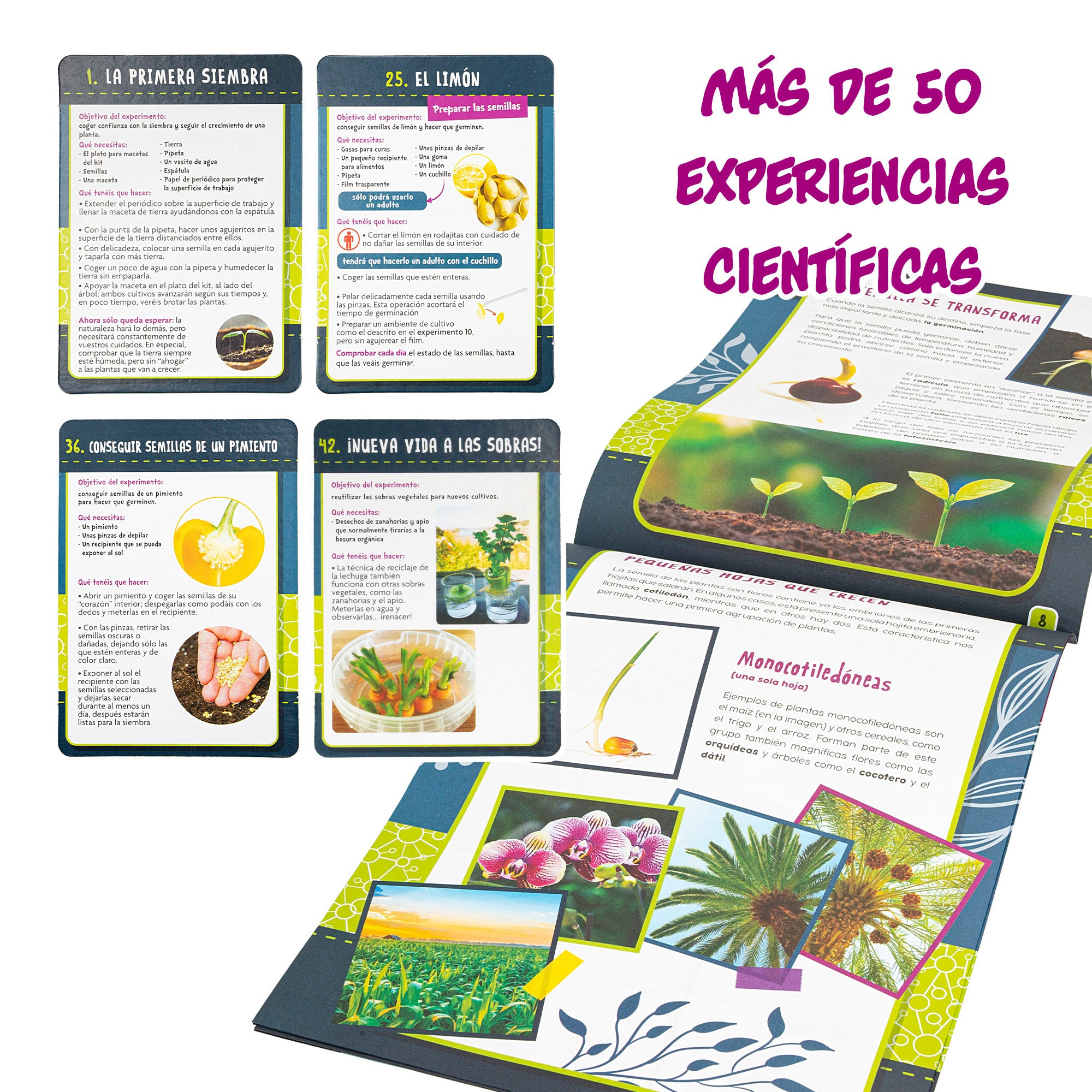 Lisciani Laboratorio botánica con 50 experimentos científicos I'm A Genius