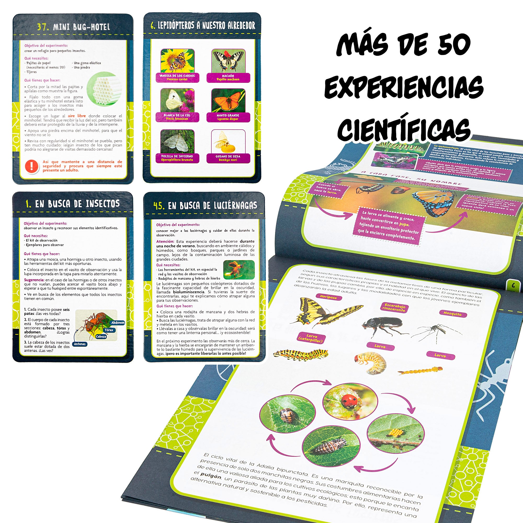 Lisciani Laboratorio insectos con 50 experimentos científicos I'm A Genius