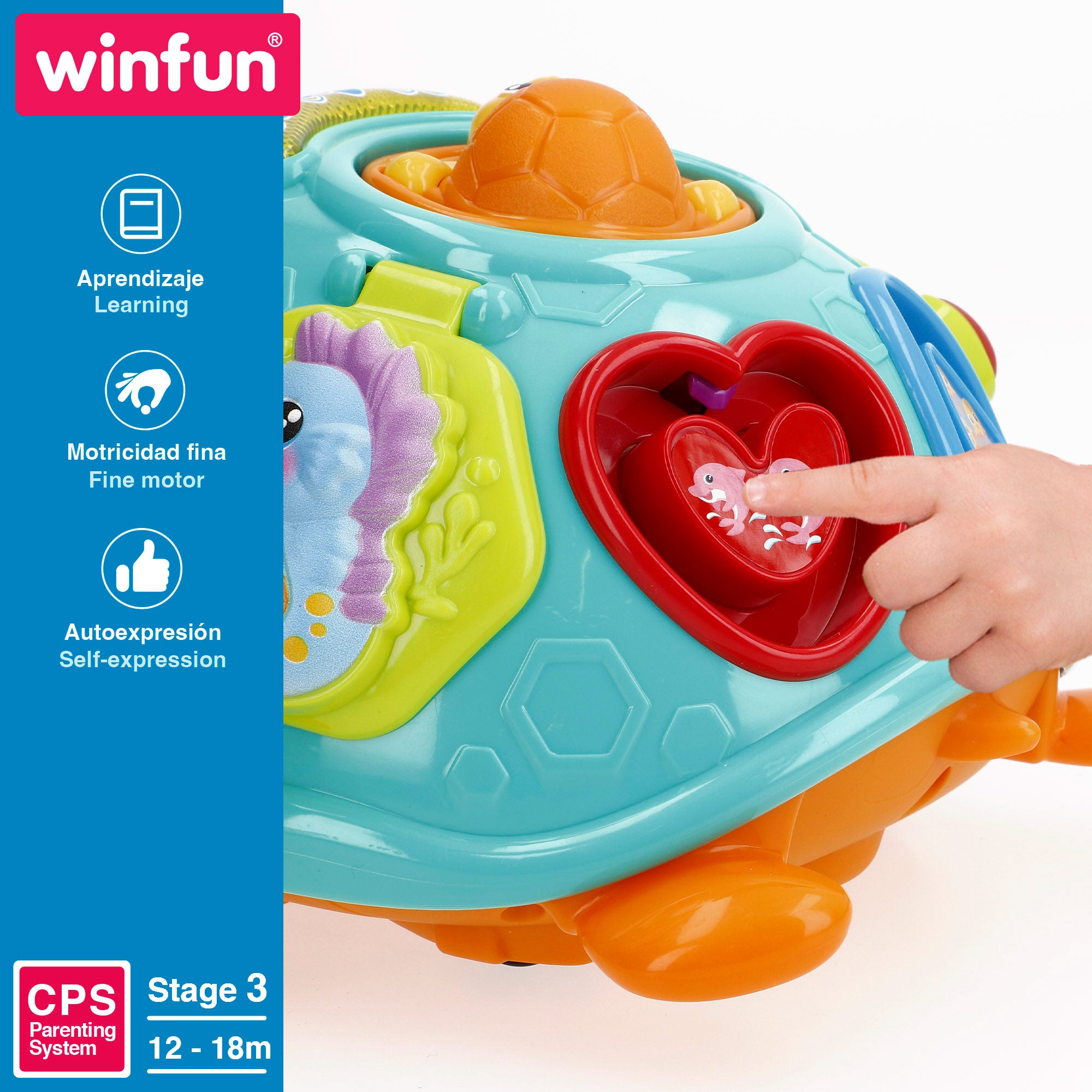 Winfun Arrastre musical tortuga con luz y sonido