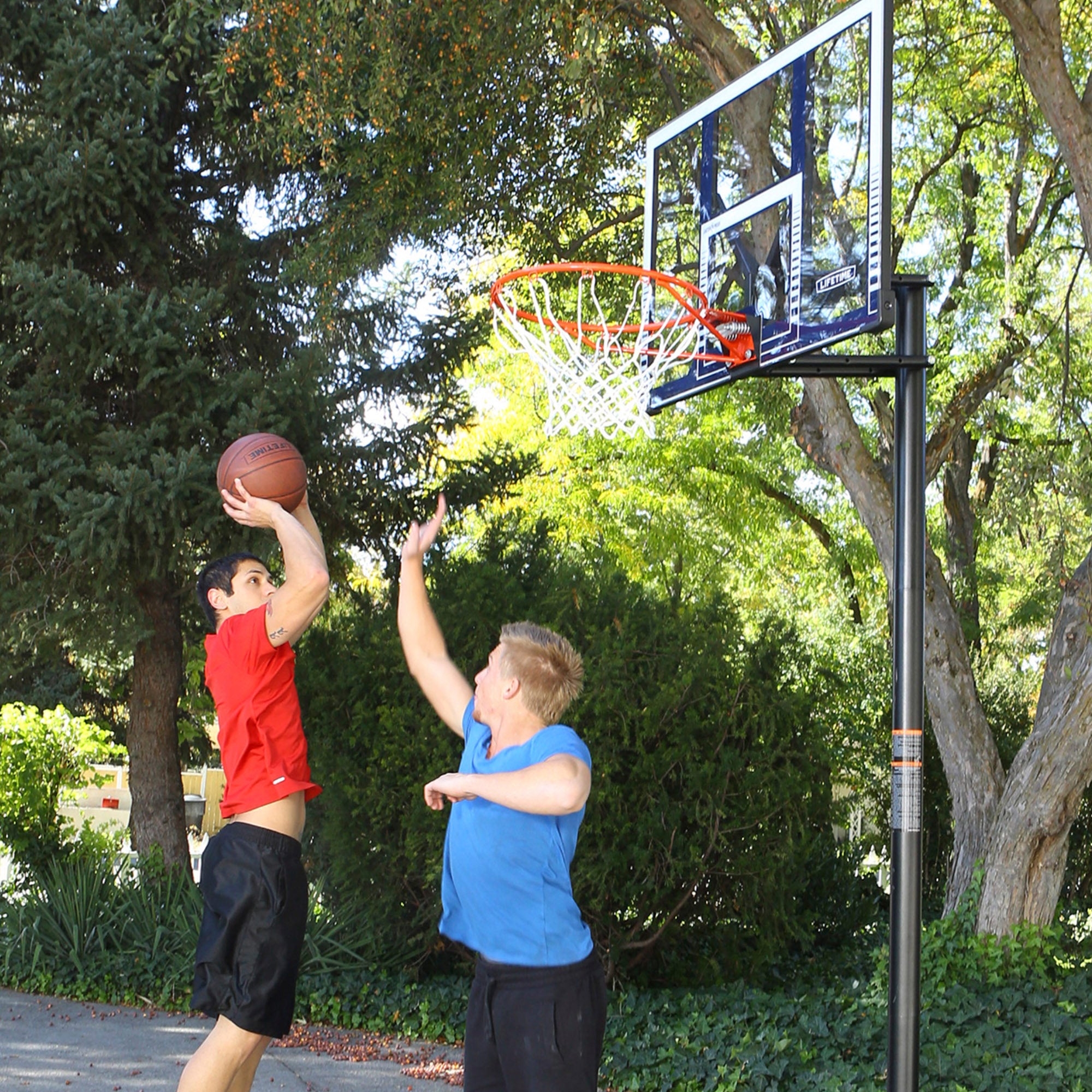 Canasta baloncesto ultrarresistente LIFETIME altura regulable 244/305 cm uv100