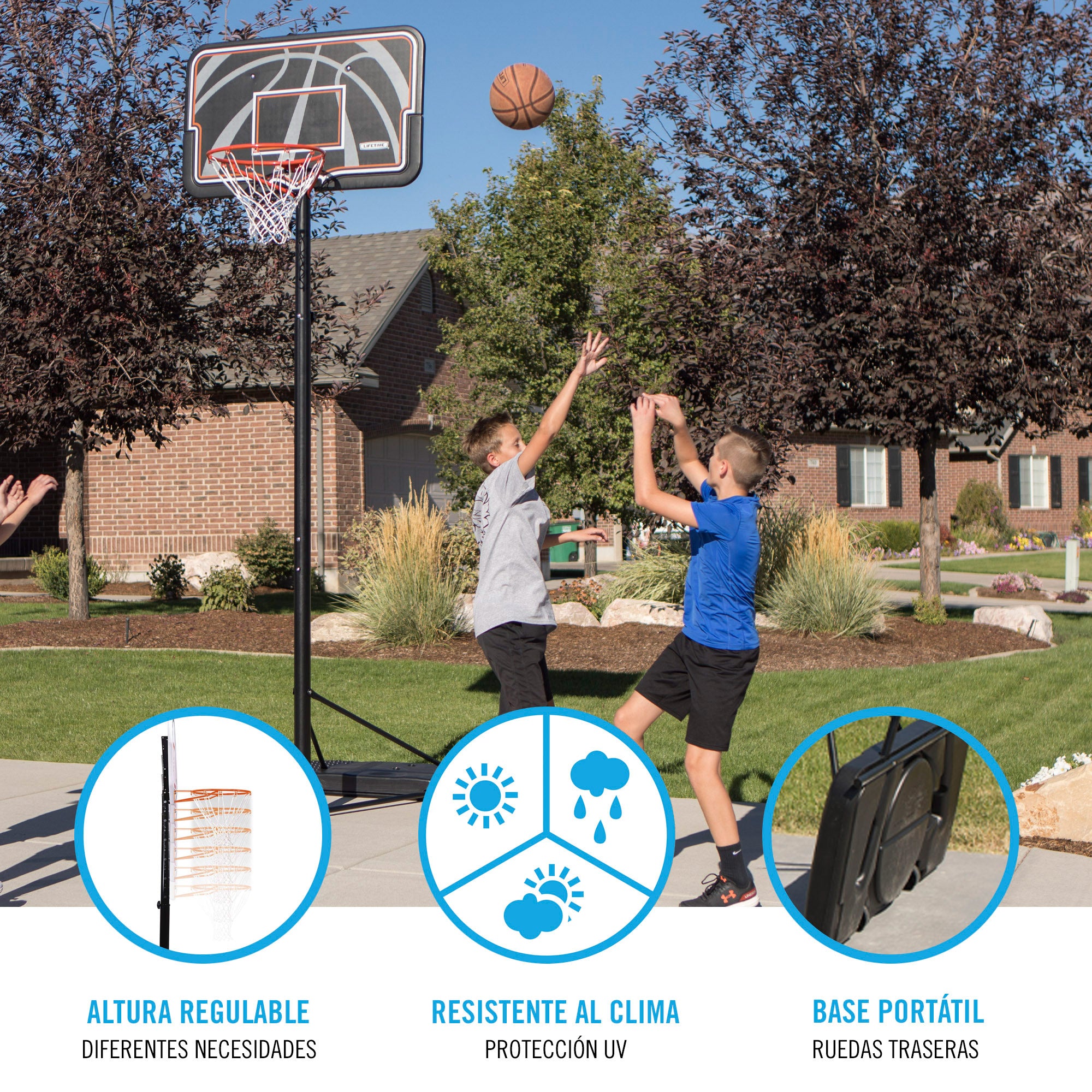 Canasta baloncesto ultrarresistente LIFETIME altura regulable 229/305 cm uv100