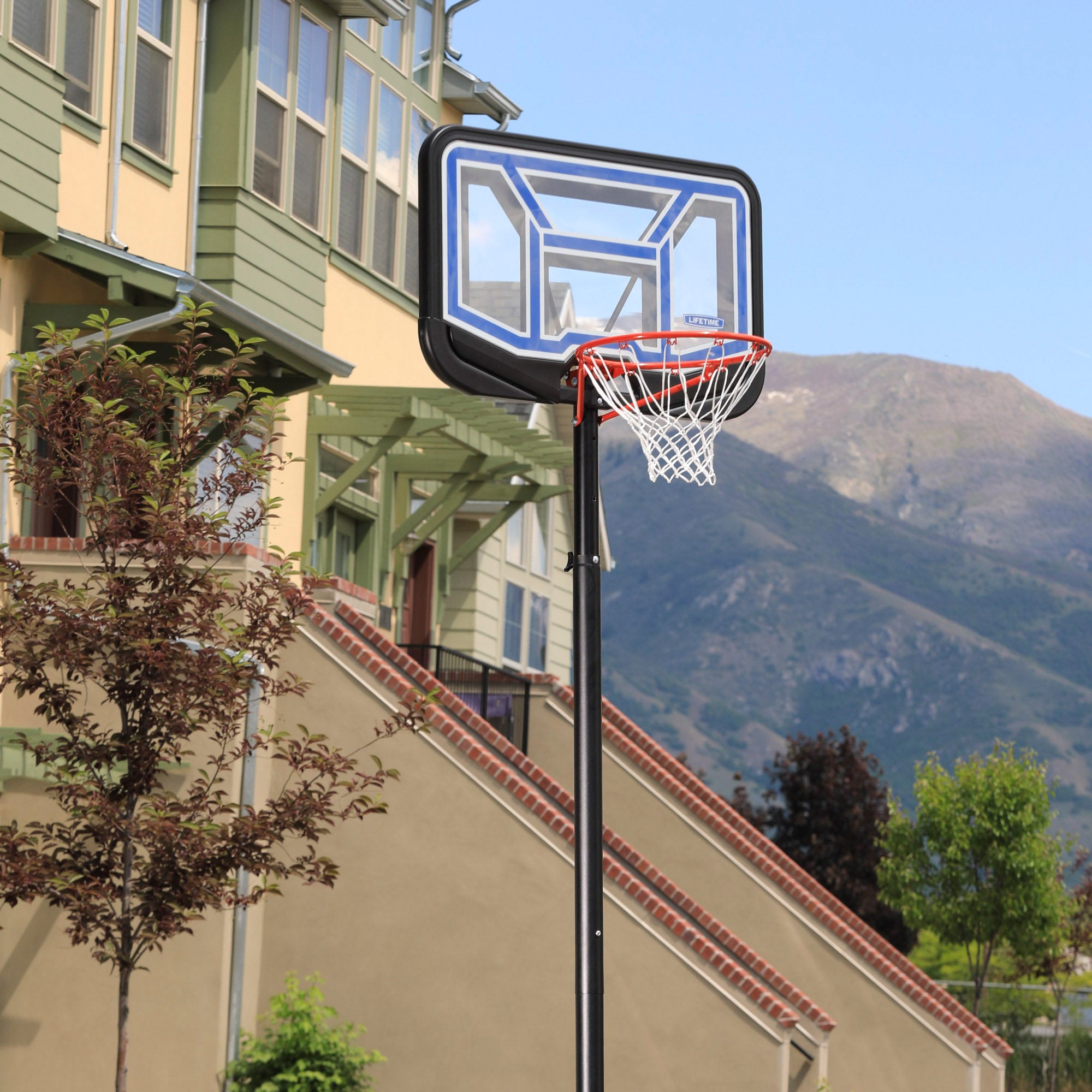Canasta de baloncesto portátil LIFETIME altura regulable 230/305 cm